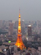 858  Tokyo Tower.JPG